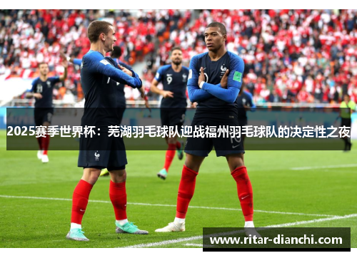 2025赛季世界杯：芜湖羽毛球队迎战福州羽毛球队的决定性之夜