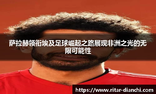 3377官网